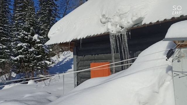 Тофалар 600. испытание амортизации! поездка в лес с новым валом!