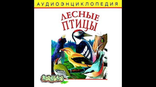 кукушка, сова и дятел - лесная опушка смотреть онлайн