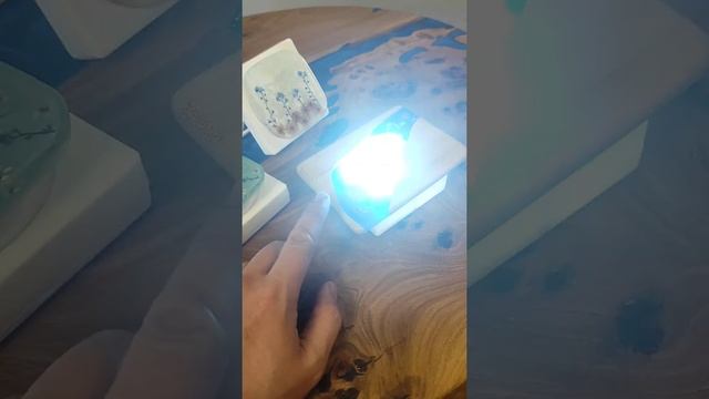 Светильник из эпоксидной смолы и натуральных растений, ракушек, и даже настоящий паук. смотреть онлайн