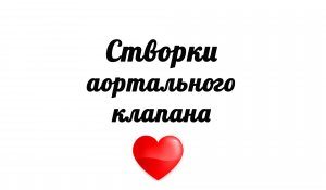 Створки аортального клапана на ЭхоКГ