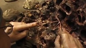 За кадром фильма Властелин Колец. Секреты съемкок легендарных фильмов