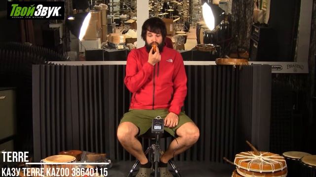 Казу Terre Kazoo 38640115 смотреть онлайн