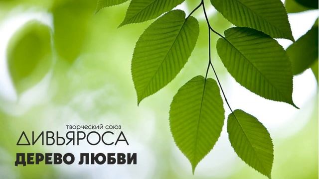 ДИВЬЯРОСА. Дерево любви