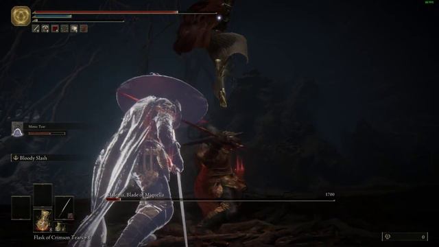 Elden Ring Player Uses Twinblades Against Melania and Regrets It. смотреть онлайн
