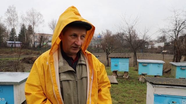 История канала Пчеловодство и Природа | Эстафета пчеловодов смотреть онлайн