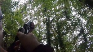 Отстрел белки с гладкоствольным ружьем .410 калибра