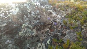 Отдых и  рыбалка на Белом Море