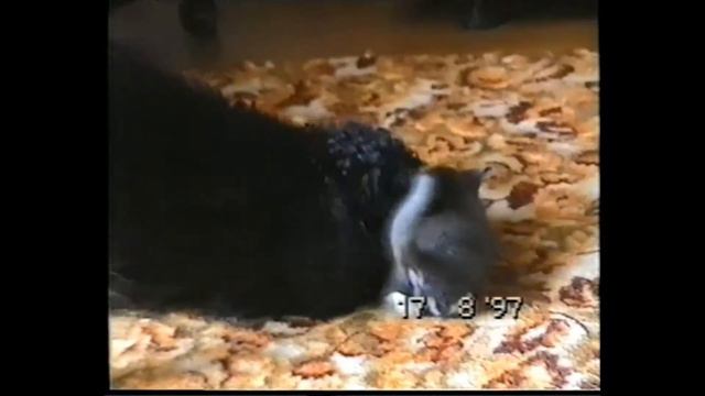 материнский инстинкт. смотреть онлайн