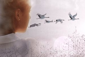 Романтика полёта журавлей... очень красиво!