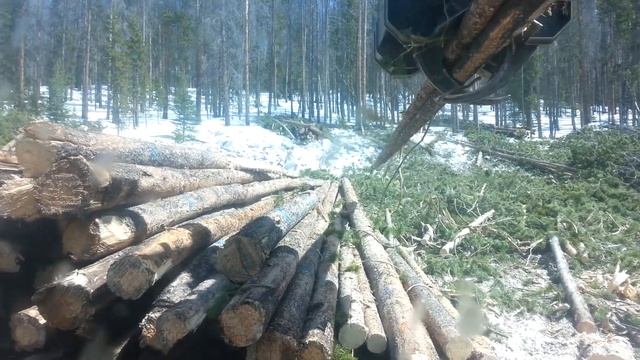 Colorado logging смотреть онлайн