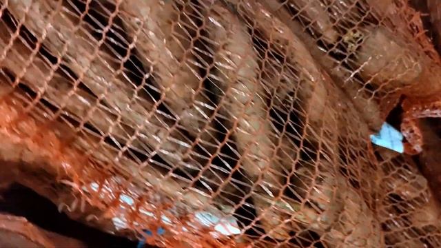 ОТКРЫЛСЯ НОВЫЙ СВЕТОФОР НОВИНКИ В МАГАЗИНЕ СВЕТОФОР ШОК НОВИНКИ - обзор НОВИНОК ИЮНЬ 2022 смотреть онлайн