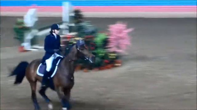 конкур 110см кск ЦСКА. Сантрэк 06. смотреть онлайн
