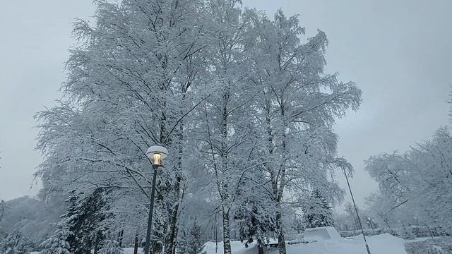 Парк Дружбы. Зима. смотреть онлайн