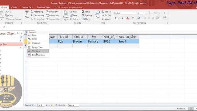 Using SQL Select Command in Microsoft Access смотреть онлайн