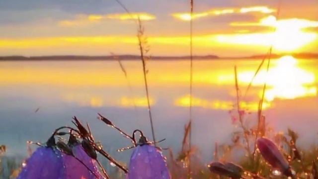 НА ЗАРЕ ХРУСТАЛЬНЫЙ ЗВОН - МОНТАЖ ТАТЬЯНЫ СИТНИКОВОЙ смотреть онлайн