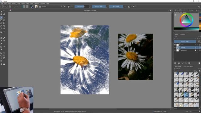 Should I paint this daisy in oils, pastels watercolour or just sketch? смотреть онлайн
