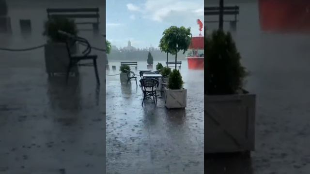 Скоро осень, господа!🍁