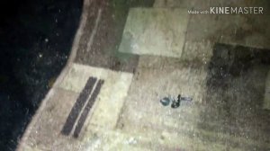 замена резистора печки на Форд Фокус - 1