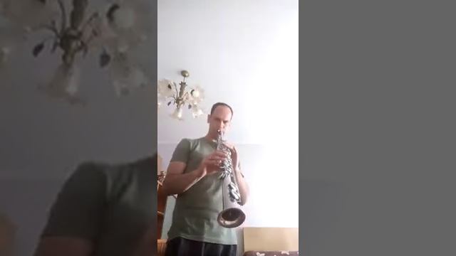 Vintage soprano saxophone Buescher True Tone смотреть онлайн