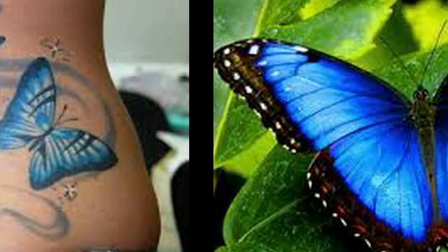 Charlie Gracie Butterfly смотреть онлайн