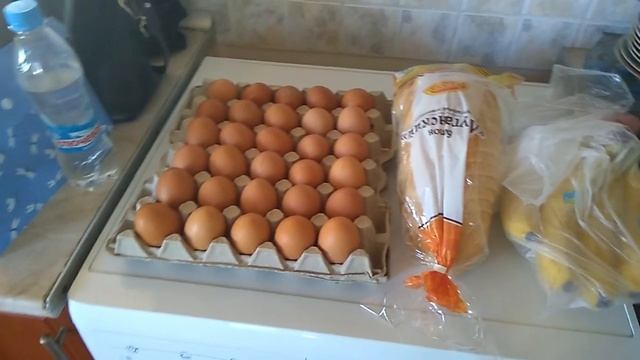 КОТЯТА / ЦВЕТЕТ КАРТОШКА / СИДИМ БЕЗ СВЕТА / ПРОДАЛИ ХОЛОДИЛЬНИК КУПИЛИ ЕДЫ / ЖИВЕМ НА ДАЧЕ смотреть онлайн