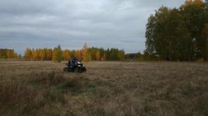 МОТОЛЕНД ВИЛД ТРЕК 200 ЛЮКС ПРО