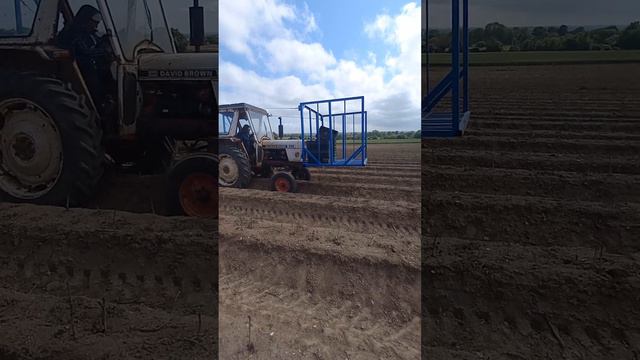 Спаржа Кор Дар Англия Чхел Мечинан 🇹🇯🇬🇧✋️ смотреть онлайн