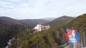 Бог Всегда Путешествует Инкогнито - Лоран Гунель - КНИГА ЗА 20 МИН