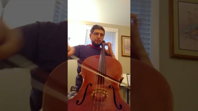 Bach - Cello Suite No. 1, Courante (Damir Horvat Guadagnini pattern cello) смотреть онлайн