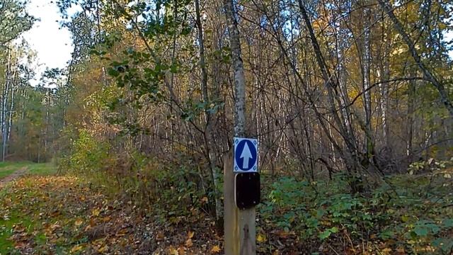 Осенняя прогулка на велосипеде по зимней трассе для лыжников. смотреть онлайн