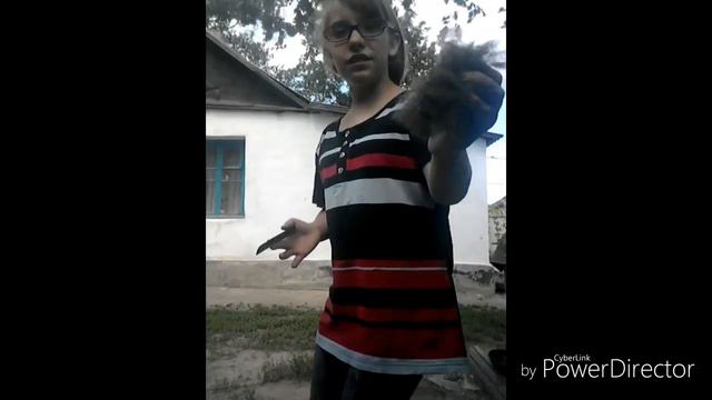 Уход за животными 😀😀😀 смотреть онлайн