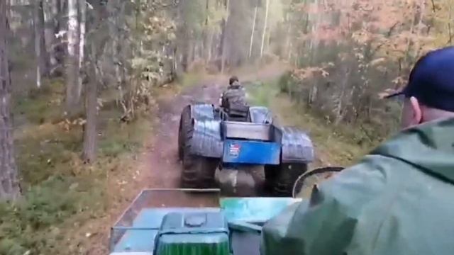 Каракат ИВА 2. Лесные деньги. смотреть онлайн