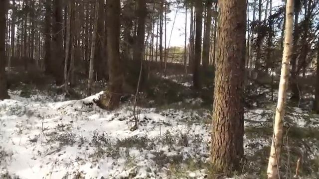 где лисичка ночевала смотреть онлайн