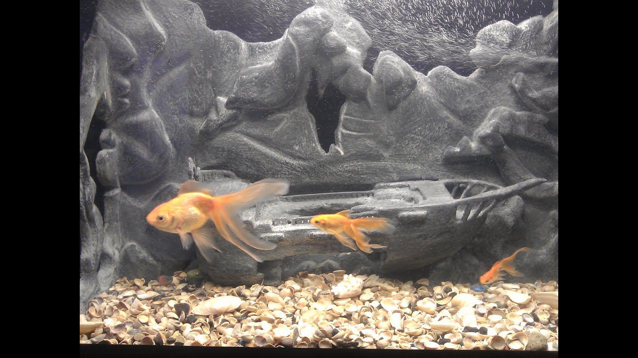 Задний фон в аквариум часть2 смотреть онлайн