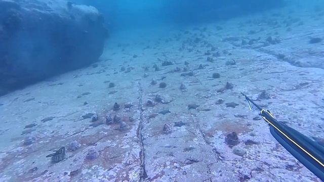 Фестиваль терпуга 2019г., 12 октября. смотреть онлайн