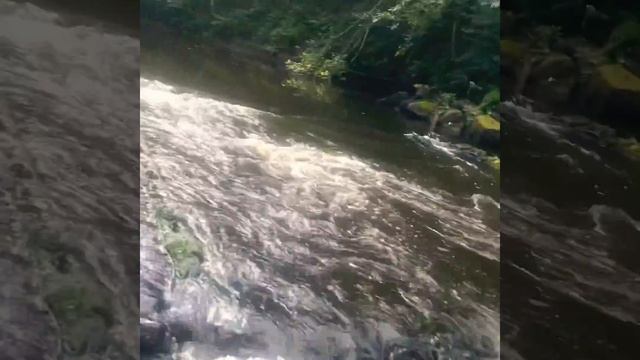 Река Вьюн. Ленинградская область смотреть онлайн