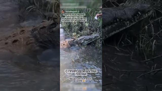 Крокодил едва не съел экскурсовода на глазах детей Самойловой и Джигана