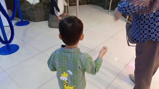 Сочинский дельфинарий 