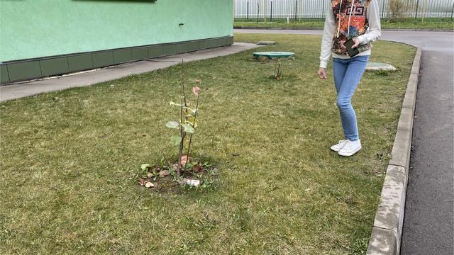 Сохраним природу смотреть онлайн
