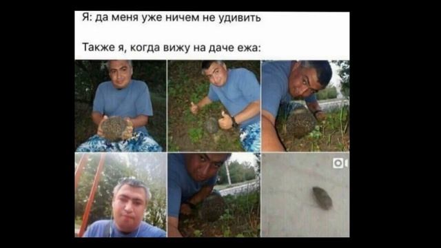 Черта оседлости в Российской империи | Ватоадмин смотреть онлайн