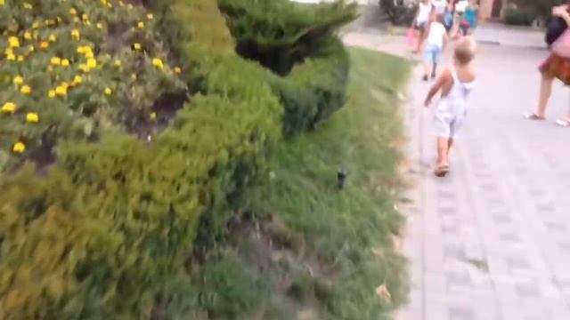 ЧАСЫ из ЦВЕТОВ. УДИВИТЕЛЬНО смотреть онлайн