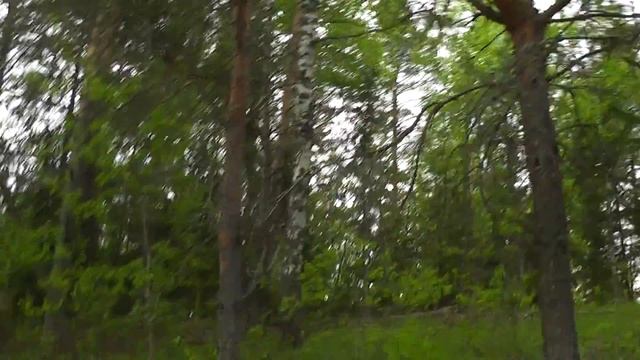 сосновый бор в соседней деревне смотреть онлайн