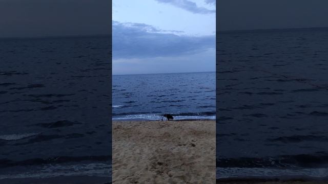 Рассвет смотреть онлайн