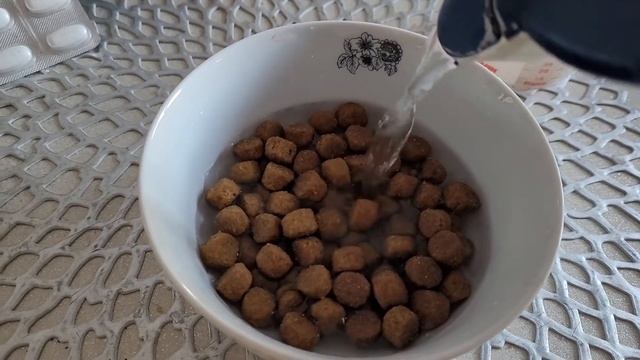 Как замочить, приготовить корм маленькому щенку! смотреть онлайн