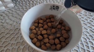 Как замочить, приготовить корм маленькому щенку!