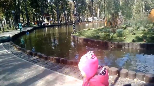 КРАСИВОЕ ОЗЕРО С ЛЕБЕДЯМИ И УТКАМИ. ГУЛЯЕМ В ПАРКЕ. смотреть онлайн