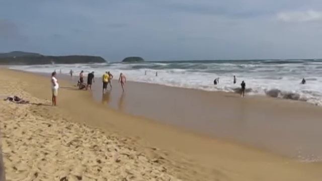 Красный Флаг на пляже (Видео Турист) смотреть онлайн