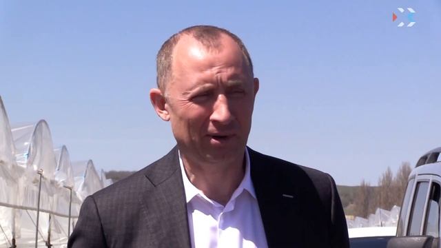 Сбор клубники продолжается в районе села Фронтовое смотреть онлайн
