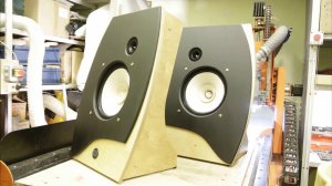 Щиты на отечественных ШП динамиках 4а-32