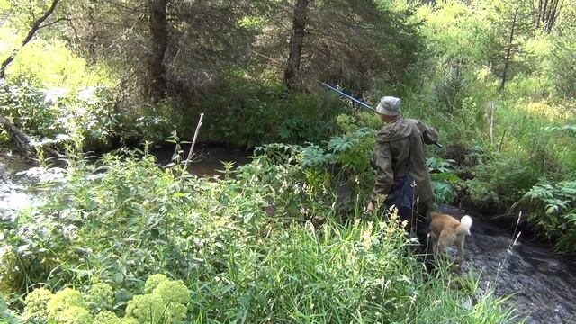 Как поймать хариуса в таежном ручье смотреть онлайн